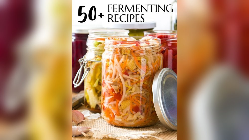 Fermented Food Recipes