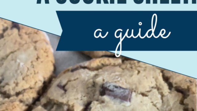 Can I Bake Cookies Without a Baking Tray? Yes, Here’s How